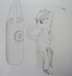 Size: 705x745 | Tagged: safe, artist:unlicensedbrony, derpibooru import, rainbow dash, pegasus, pony, newbie artist training grounds, punching bag, solo, traditional art