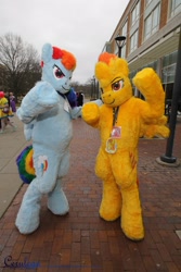 Size: 1366x2048 | Tagged: safe, rainbow dash, spitfire, human, cosplay, fursuit, irl, irl human, photo