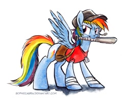 Size: 796x617 | Tagged: dead source, safe, artist:kenket, artist:spainfischer, rainbow dash, pegasus, pony, baseball bat, rainbow scout, scout, solo, team fortress 2