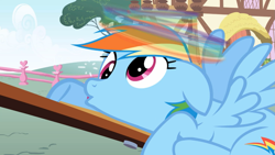 Size: 1365x768 | Tagged: safe, screencap, rainbow dash, pegasus, pony, applebuck season, derp, dizzy, knocked silly, solo