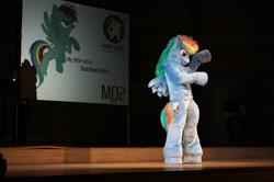 Size: 3088x2056 | Tagged: safe, rainbow dash, human, cosplay, fursuit, irl, irl human, photo