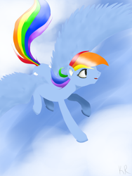 Size: 2448x3264 | Tagged: safe, artist:ectoecho, rainbow dash, pegasus, pony, female, mare, simple background, solo