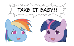 Size: 1007x630 | Tagged: safe, artist:why485, rainbow dash, twilight sparkle, pegasus, pony, touhou, yukkuri, yukkuri shiteitte ne