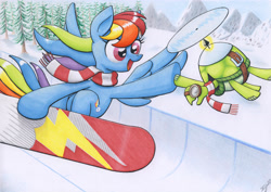 Size: 4660x3300 | Tagged: safe, artist:xeviousgreenii, derpibooru import, rainbow dash, tank, pegasus, pony, clothes, hoofbump, scarf, snowboard, winter