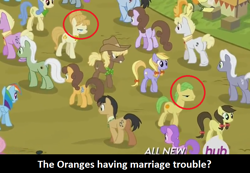 Size: 804x555 | Tagged: safe, screencap, aunt orange, mosely orange, rainbow dash, royal riff, uncle orange, earth pony, pegasus, pony, trade ya, analysis, background pony, female, male, mare, stallion, the oranges, unnamed pony