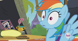 Size: 1440x762 | Tagged: safe, screencap, rainbow dash, pegasus, pony, trade ya, full set, hub logo, meme, teddie safari, youtube caption