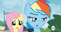 Size: 1600x830 | Tagged: safe, screencap, fluttershy, rainbow dash, pegasus, pony, trade ya, hub logo, meme, tequila, youtube caption