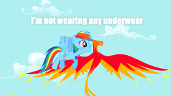 Size: 1280x720 | Tagged: safe, edit, edited screencap, screencap, philomena, rainbow dash, bird, pegasus, phoenix, pony, a bird in the hoof, captain obvious, caption, duo, female, flying, mare, rainbow's whispers, spread wings, we don't normally wear clothes, whispering, wings