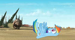 Size: 1920x1040 | Tagged: safe, rainbow dash, pegasus, pony, rhinoceros, brontotherium, crossover, female, ice age, male, mare