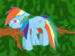 Size: 2048x1536 | Tagged: safe, artist:victoreach, rainbow dash, pegasus, pony, female, mare, simple background, solo