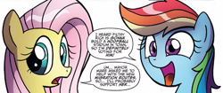 Size: 669x281 | Tagged: safe, artist:agnesgarbowska, derpibooru import, idw, fluttershy, rainbow dash, pegasus, pony, spoiler:comic46, cropped, duo, female, mare, official comic, open mouth, simple background, speech bubble, white background