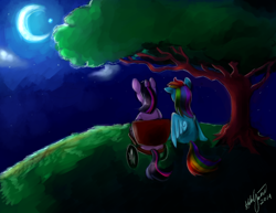 Size: 1024x791 | Tagged: safe, artist:katurkeyg, rainbow dash, twilight sparkle, pegasus, pony, fanfic art, fanfic cover, female, lesbian, moon, night, shipping, twidash