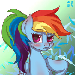 Size: 1500x1500 | Tagged: safe, artist:mrs1989, rainbow dash, pegasus, pony, alternate hairstyle, blushing, frown, looking at you, ponytail, solo