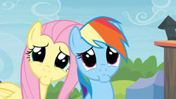 Size: 426x240 | Tagged: safe, screencap, fluttershy, rainbow dash, pegasus, pony, trade ya, female, mare, wings