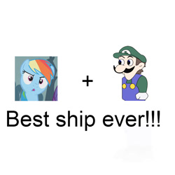 Size: 1000x1000 | Tagged: safe, rainbow dash, pegasus, pony, exploitable meme, meme, op is on drugs, shipping, text, weegee, wtf