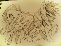 Size: 816x612 | Tagged: safe, artist:pigeon666, fluttershy, rainbow dash, pegasus, pony, grayscale, monochrome, sketch, traditional art