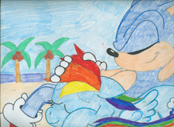 Size: 2340x1700 | Tagged: safe, artist:superdupertails, derpibooru import, rainbow dash, pegasus, pony, crossover, sonic the hedgehog, sonic the hedgehog (series), traditional art