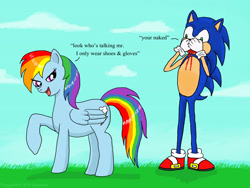 Size: 4000x3000 | Tagged: safe, artist:angela808, derpibooru import, rainbow dash, pegasus, pony, absurd resolution, blood, crossover, interspecies, male, misspelling, nosebleed, shipping, sonic the hedgehog, sonic the hedgehog (series), sonicdash, straight, we don't normally wear clothes