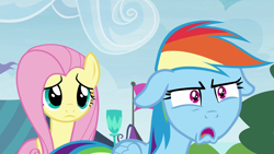 Size: 1920x1080 | Tagged: safe, screencap, fluttershy, rainbow dash, pegasus, pony, trade ya, female, mare, wings