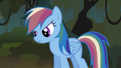 Size: 1280x720 | Tagged: safe, artist:toucanldm, screencap, rainbow dash, pegasus, pony, angry, everfree forest, night, solo