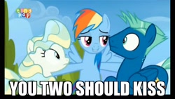 Size: 1920x1080 | Tagged: safe, derpibooru import, edit, edited screencap, screencap, rainbow dash, sky stinger, vapor trail, pegasus, pony, top bolt, caption, image macro, meme, now kiss, out of context, rainbow the shipper, shipper on deck, shipping, tiny pop, vaporsky