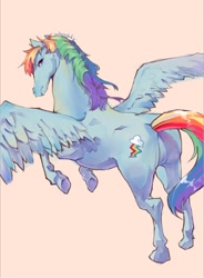 Size: 684x928 | Tagged: safe, artist:cuhenghdj, rainbow dash, pegasus, pony, female, hoers, mare, realistic, realistic anatomy, solo