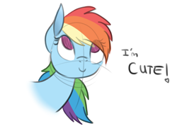 Size: 1090x850 | Tagged: safe, artist:wolf-spirit99, rainbow dash, pegasus, pony, bust, cute, dashabetes, fact, female, mare, portrait, simple background, smiling, solo, truth, understatement, white background