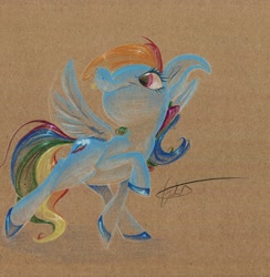 Size: 1280x1313 | Tagged: safe, artist:getchanoodlewet, rainbow dash, pegasus, pony, blue coat, female, mare, multicolored mane, solo, traditional art