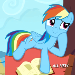 Size: 806x806 | Tagged: safe, screencap, rainbow dash, pegasus, pony, testing testing 1-2-3, cute, dashabetes, female, mare, smiling, solo