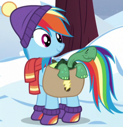 Size: 428x438 | Tagged: safe, derpibooru import, screencap, rainbow dash, tank, pegasus, pony, tortoise, tanks for the memories, clothes, cropped, duo, female, hat, mare, outfit catalog, saddle bag, scarf