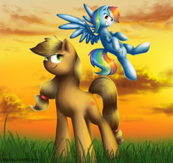 Size: 800x756 | Tagged: safe, artist:moonlightfl, derpibooru import, applejack, rainbow dash, earth pony, pegasus, pony, cloud, cloudy, field, sunset