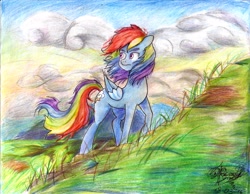 Size: 3286x2550 | Tagged: safe, artist:mannybcadavera, derpibooru import, rainbow dash, pegasus, pony, scenery, solo, traditional art, windswept mane