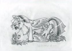 Size: 3395x2401 | Tagged: safe, artist:delapsus1992, rainbow dash, twilight sparkle, twilight sparkle (alicorn), alicorn, pegasus, pony, female, grayscale, lesbian, mare, monochrome, on back, shipping, traditional art, twidash