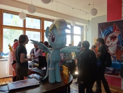 Size: 1280x960 | Tagged: safe, artist:erinliona, fluttershy, rainbow dash, human, 2014, convention, cosplay, irl, irl human, papercraft, photo, poster, rubronycon