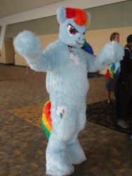 Size: 1536x2048 | Tagged: safe, rainbow dash, human, cosplay, fursuit, irl, irl human, photo