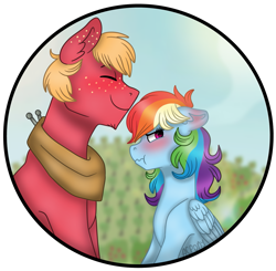 Size: 1083x1061 | Tagged: safe, artist:artistcoolpony, derpibooru import, big macintosh, rainbow dash, earth pony, pegasus, pony, blushing, male, rainbowmac, shipping, stallion, straight