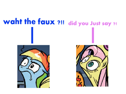 Size: 640x480 | Tagged: safe, idw, fluttershy, rainbow dash, pegasus, pony, meme, reaction image, wtf