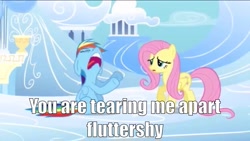 Size: 1136x640 | Tagged: safe, fluttershy, rainbow dash, pegasus, pony, meme, the room, you're tearing me apart lisa