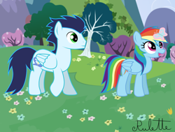 Size: 1024x776 | Tagged: safe, artist:rulette, rainbow dash, soarin', butterfly, pegasus, pony, female, male, shipping, soarindash, straight