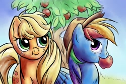 Size: 2400x1600 | Tagged: safe, artist:viwrastupr, derpibooru import, applejack, rainbow dash, earth pony, pegasus, pony, accessory theft, apple, cowboy hat, hat, scrunchy face, stetson, tree