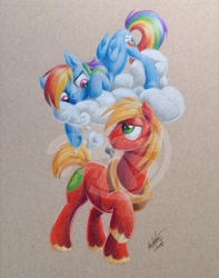 Size: 631x800 | Tagged: safe, artist:zene, derpibooru import, big macintosh, rainbow dash, earth pony, pegasus, pony, bronycon 2016, commission, male, rainbowmac, shipping, stallion, straight