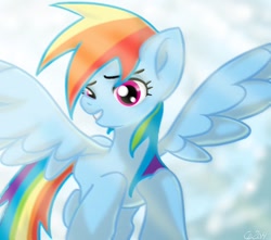 Size: 800x706 | Tagged: safe, artist:orbiter53, rainbow dash, pegasus, pony, female, mare, simple background, solo