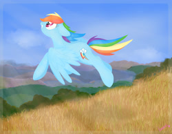 Size: 3000x2330 | Tagged: safe, artist:lemanda, derpibooru import, rainbow dash, pegasus, pony, flying, grass, grass field, grassland, hill, mountain, solo