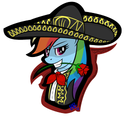 Size: 1000x950 | Tagged: safe, artist:bravelyart, rainbow dash, pegasus, pony, flower, flower in mouth, mariachi, rose, rose in mouth, solo, sombrero