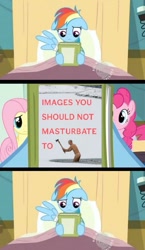 Size: 581x1000 | Tagged: safe, rainbow dash, earth pony, pegasus, pony, book, book cover, exploitable meme, meme, reading rainbow, wat