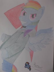 Size: 768x1024 | Tagged: safe, artist:raventheghost, derpibooru import, rainbow dash, pegasus, pony, loyalty, solo