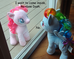 Size: 1210x969 | Tagged: safe, artist:pika-robo, derpibooru import, pinkie pie, rainbow dash, artifact, build-a-bear, comic sans, deck, exploitable meme, house, in-joke, irl, iwtcird, joke, meme, meta, outdoors, photo, plushie, pun, text, window