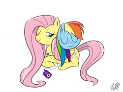 Size: 1024x768 | Tagged: safe, artist:mrfloppemz, fluttershy, rainbow dash, pegasus, pony, female, ipod, mare, wings