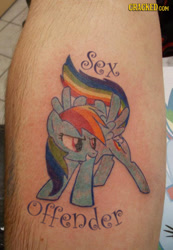 Size: 414x600 | Tagged: safe, rainbow dash, pegasus, pony, brony shaming, cracked, hater, photoplasty, tattoo, text, what were you thinking