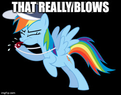 Size: 480x376 | Tagged: safe, artist:masem, rainbow dash, pegasus, pony, bad pun, baseball cap, blowing, exploitable meme, hat, image macro, meme, puffy cheeks, rainblow dash, reaction, solo, that really blows, vector, whistle